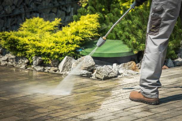 Best Sidewalk and Walkway Cleaning  in Los Alamitos, CA